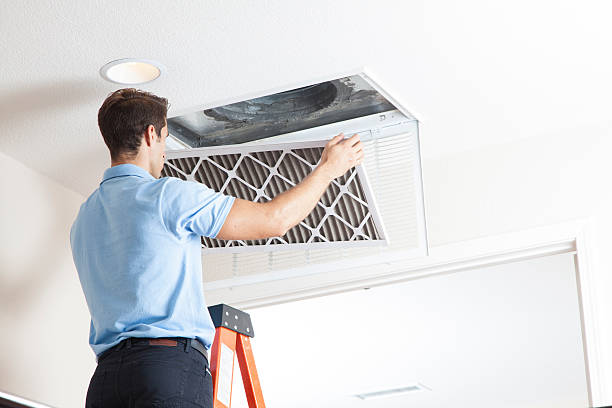 Best HVAC Tune-Up Services  in Maple Lake, MN